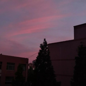 姜鸽-无题（翻自 姜云升）