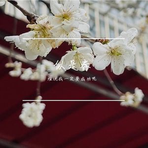 似是春（pord by lisure）