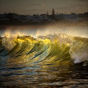 Golden Tide