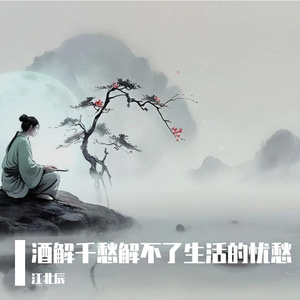 酒解千愁解不了生活的忧愁