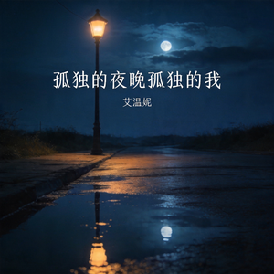 孤独的夜晚孤独的我