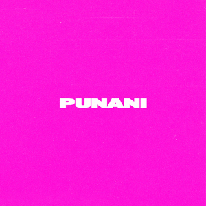 Punani