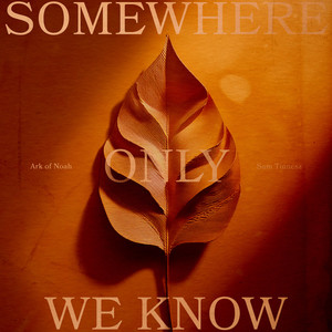 Somewhere Only We Know
