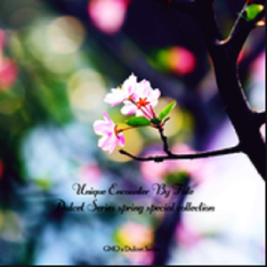 Tassel (Seantonio Rework)