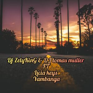 Yambanga (feat. Licia Keys) [with DJ tomas muller]