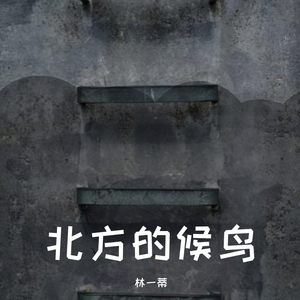 combination-北去的候鸟（林一蒂 remix）