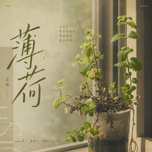薄荷