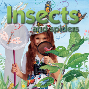 Millipedes and Centipedes