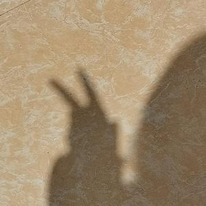 慢慢喜欢你（cover莫文蔚）