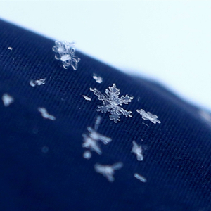 Зимняя пора