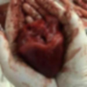 BestGoreValentines (feat. Disoc8)