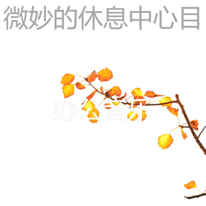 抚慰的浓度回忆