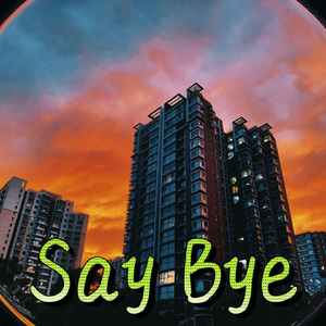 Say Bye