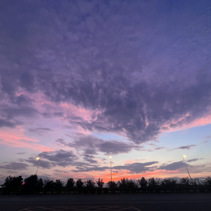 我们就到这里吧