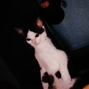 U.u Pt.3(Prod by SOGIMURA）