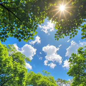 枕着光的她 任素汐