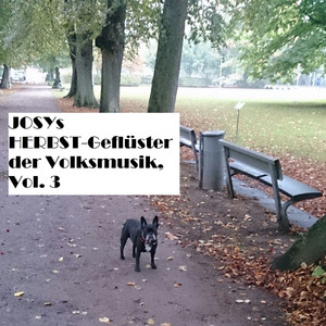 Wenn die Reben am Rhein wieder blühen