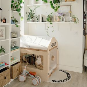 还好有你（cover花粥）