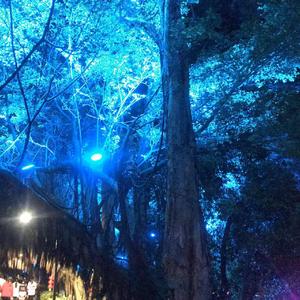 一个 （cover 陈壹仟）