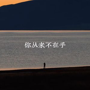 你从来不在乎