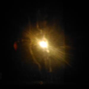 Groovator Will Have Your Entire Ass