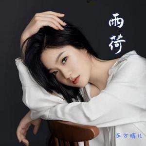 雨荷 (DJ长梦版)