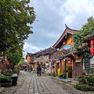 我有孤独和烈酒