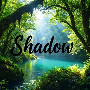Shadow