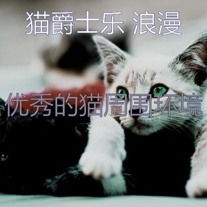 抚慰的猫在家回忆