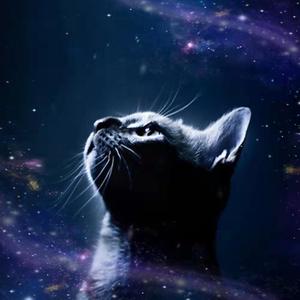 同心 (Original Mix)