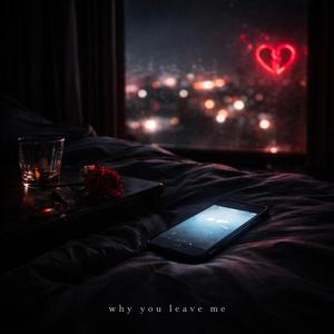 Why you leave me