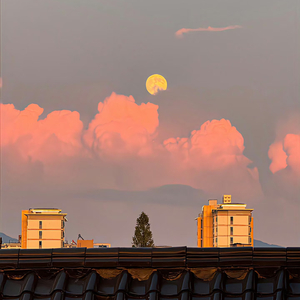 法尔伽：骑士精神.wav