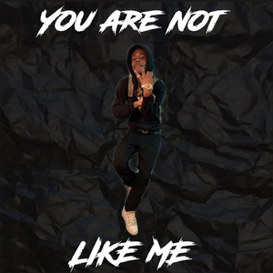 YOU ARE NOT LIKE ME