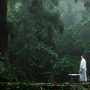 棠梨煎雪（live）