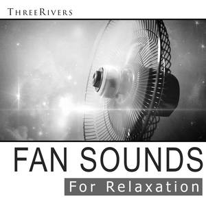 Indoor Air Conditioner Sound