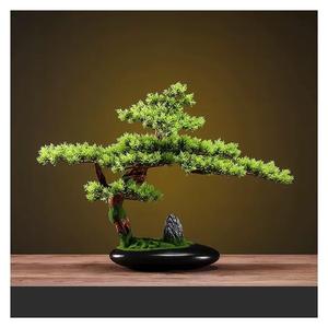 Bonsai