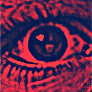 Anarky