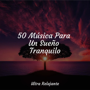 Manteniéndolo Tranquilo