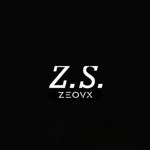 Z.S.(ZERO SOLUTION)