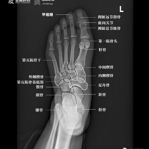 《银河裂缝下的永恒暗恋》笑笑饱了没-悲伤-流行