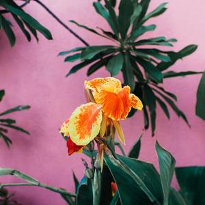 单身狗找不到女朋友（想念你的好怀念你的笑之快乐不要伤感不要哭）