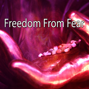 Rain In The Tree Tops