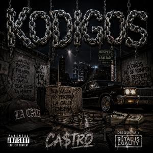 Kodigos