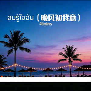 ลมรู้ใจฉัน（晚风知我意）