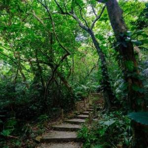 自然の旋律２（改訂版）