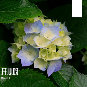 开心快乐吧