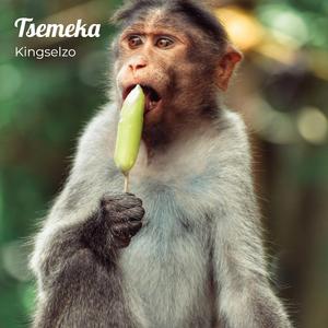 Tsemeka