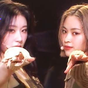 경고(Caution) LIVE