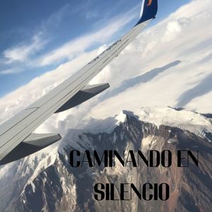 Caminando en Silencio