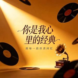 你是我心里的经典DJ
